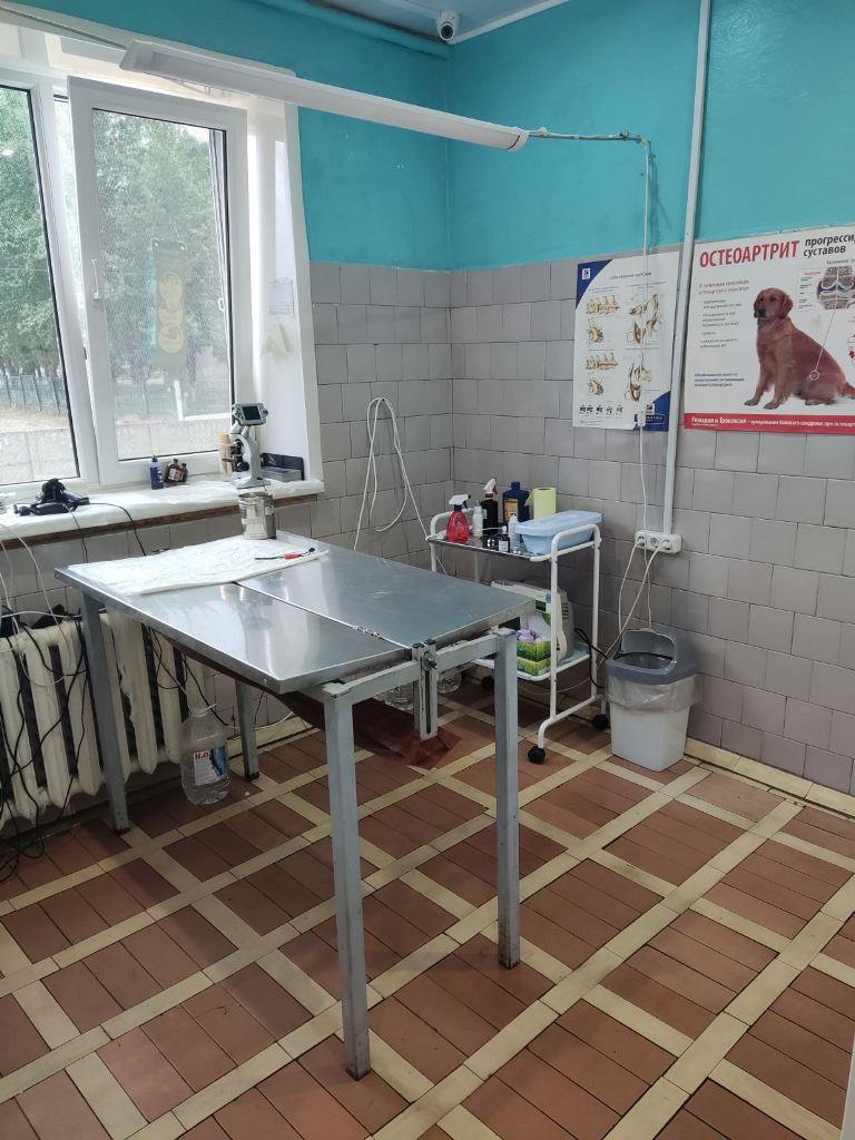 Круглосуточная ветеринарная клиника в Бобруйске
