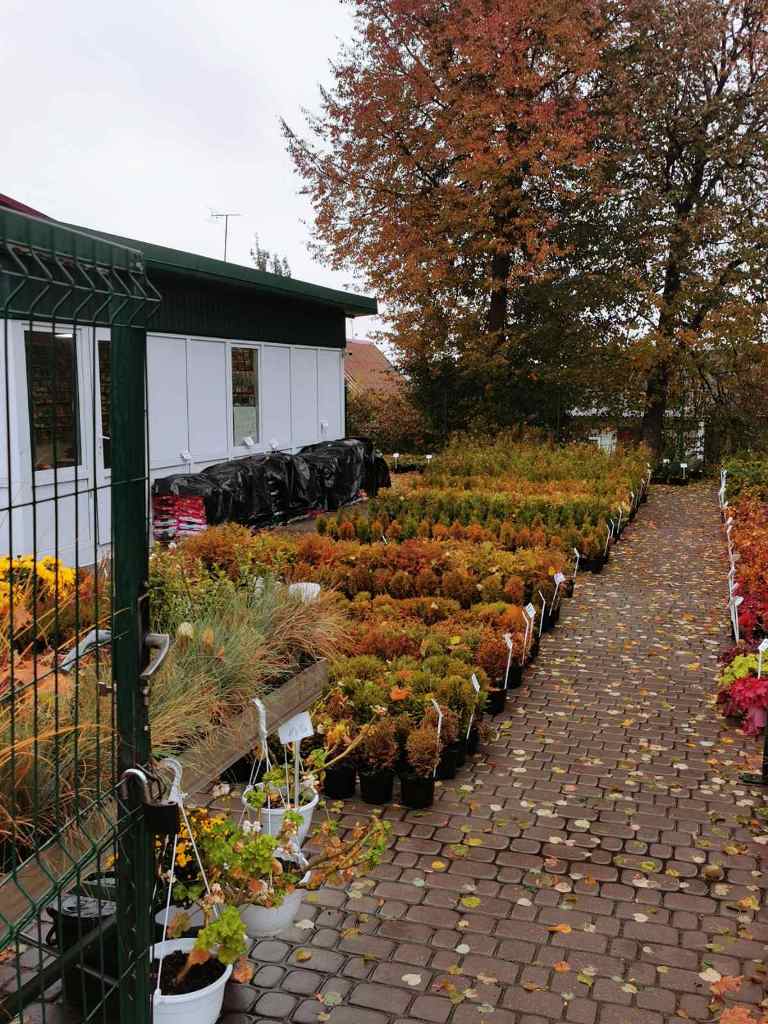 Торгово-выставочная площадка декоративных растений