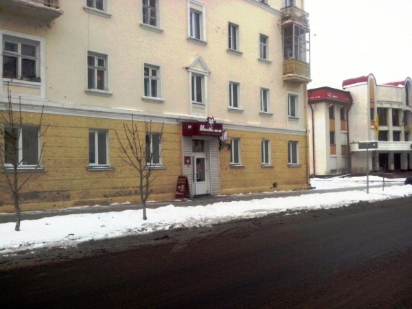 Квартира в центре Гомеля под нежилой фонд