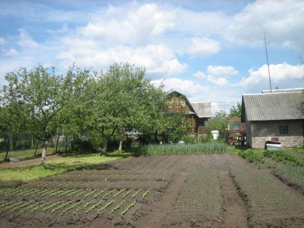 Участок могилевское направление