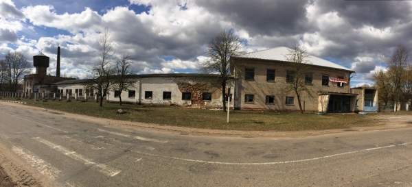 Грибы вешанки. Приглашаем инвестора