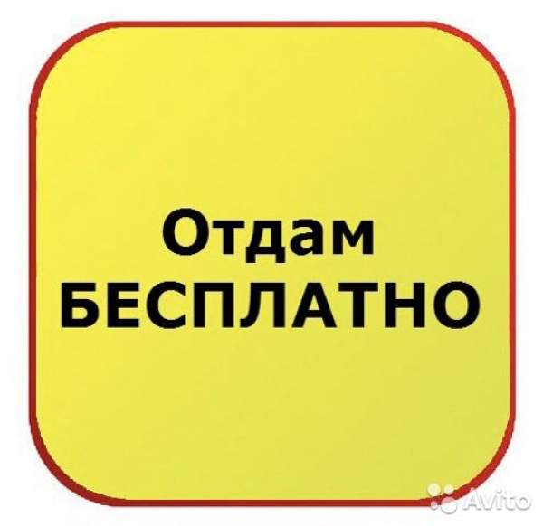 Бесплатно отдам чистое, без долгов ООО в г. Минске