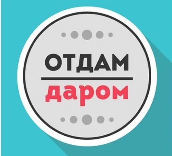 Отдам фирму даром ООО
