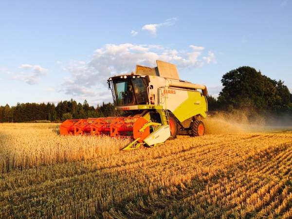 Крупнейшее фермерское хозяйство “Кольчуны-Агро“ в РБ