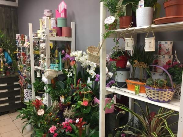Магазин цветов в Евроопте. Очень прибыльный!