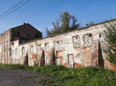 Третий год подряд Минск пытается продать здания в Лошицком парке.