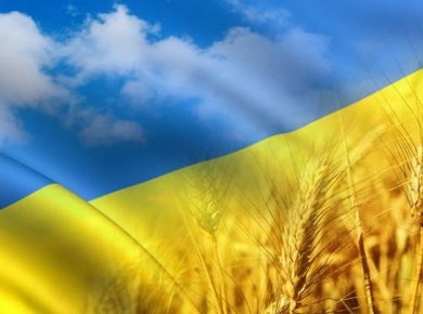 Украина на треть сократила экспорт и импорт товаров.